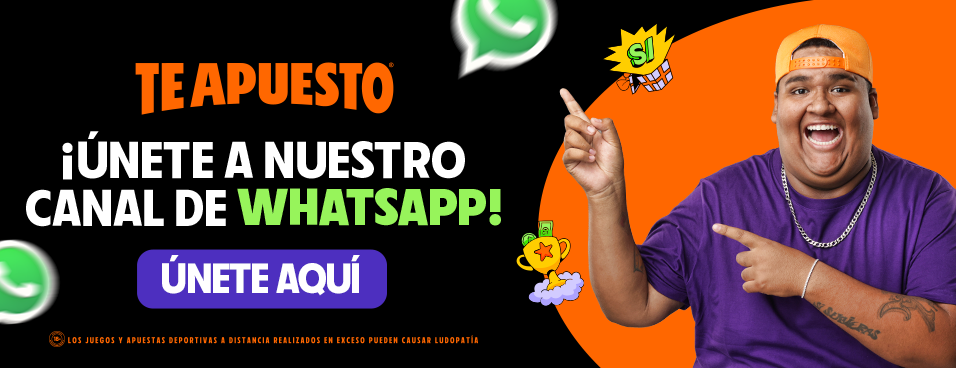 TA CANAL WHATSAPP 956X368