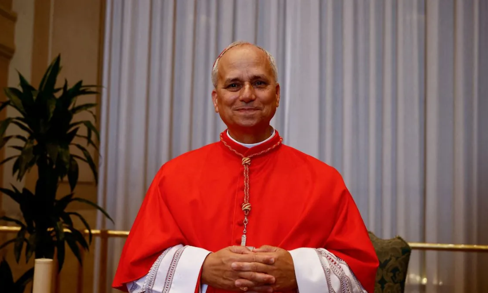 nuevo papa