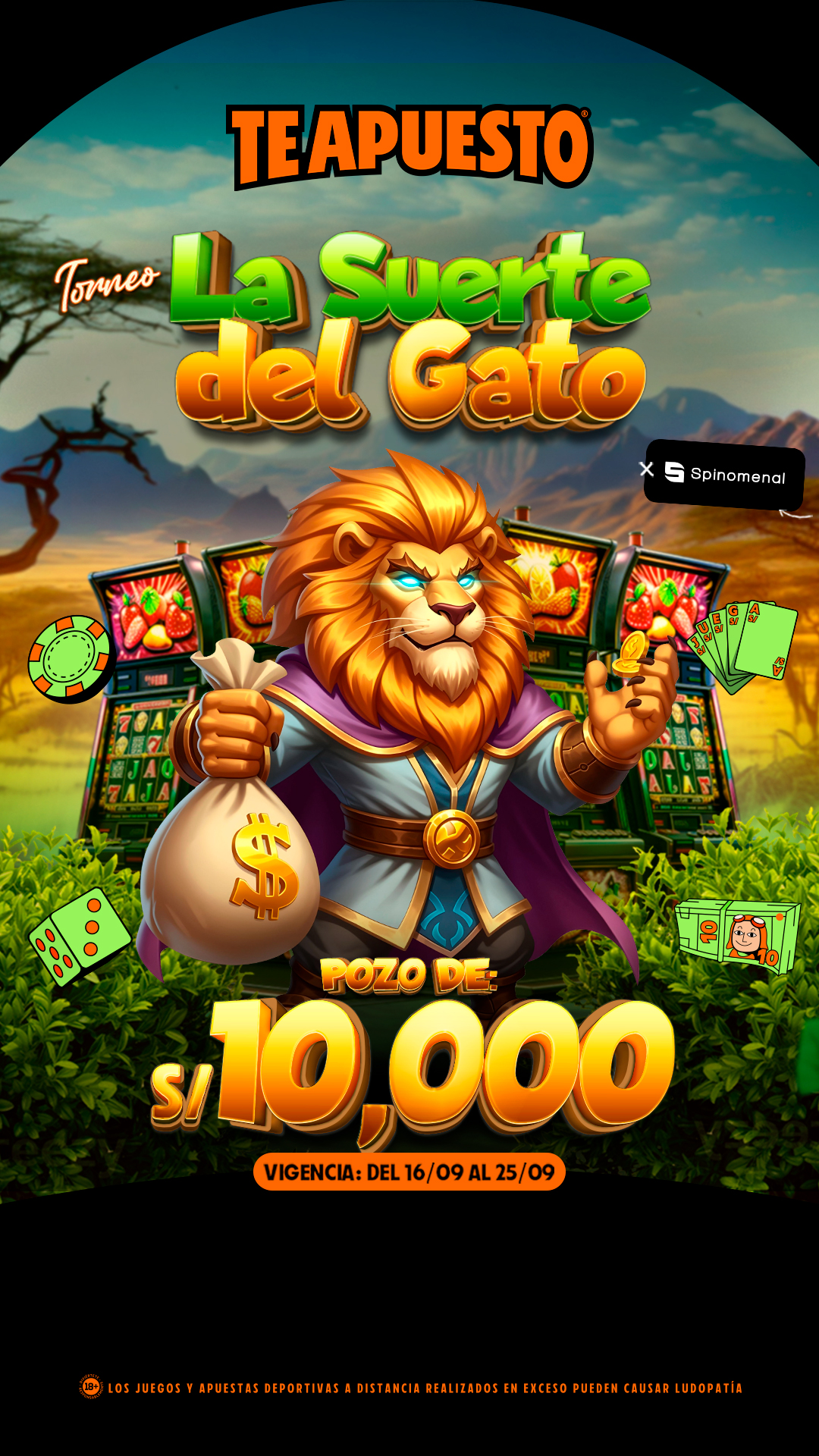 CA RRSS LA SUERTE DEL GATO 1080X1920