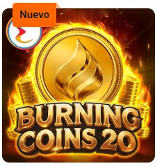 Burning Coins 20 Burning Coins 20